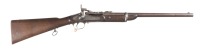 BSA Breechloader Rifle .577 Snider - 2