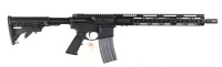 Palmetto State Armory PA-15 Semi Rifle 5.56 - 2