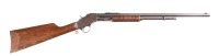 J Stevens Visible Loader Slide Rifle .22 sll - 2