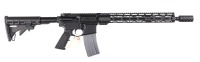 Palmetto State Armory PA-15 Semi Rifle 5.56 - 2