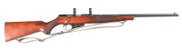 Winchester Wildcat Bolt Rifle .22 lr - 2