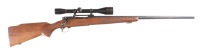 Winchester 70 Pre-64 Bolt Rifle .243 win - 2