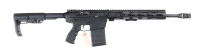 Tactical Weapons Solutions TWS-10 Semi Rifle - 2