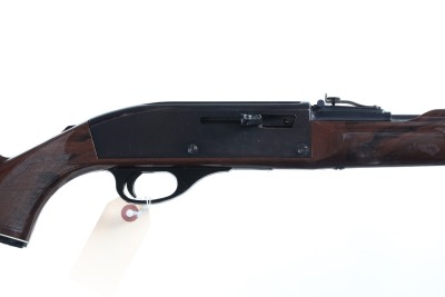 Remington Nylon 66 Semi Rifle .22 lr