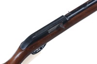 Marlin Glenfield 75 Semi Rifle .22 lr - 3