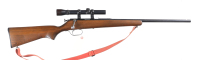 Marlin Glenfield 10 Bolt Rifle .22 sllr - 2