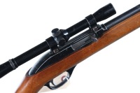 Marlin Glenfield 75 Semi Rifle .22 lr - 3