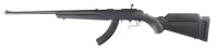 Ruger American Bolt Rifle .22 lr - 6