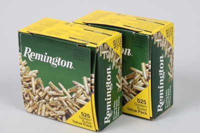 2 boxes of Remington .22 lr Hollow Points