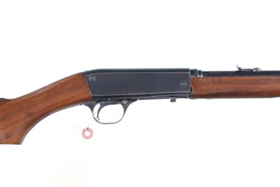 Remington 24 Semi Rifle .22 lr