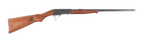 Remington 24 Semi Rifle .22 lr - 2