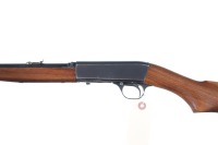 Remington 24 Semi Rifle .22 lr - 4