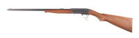 Remington 24 Semi Rifle .22 lr - 5