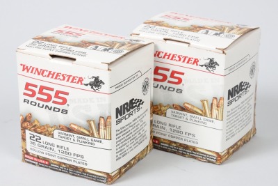 2 boxes of Winchester .22 lr Hollow Points