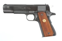 Colt Government Pistol .45 ACP - 3