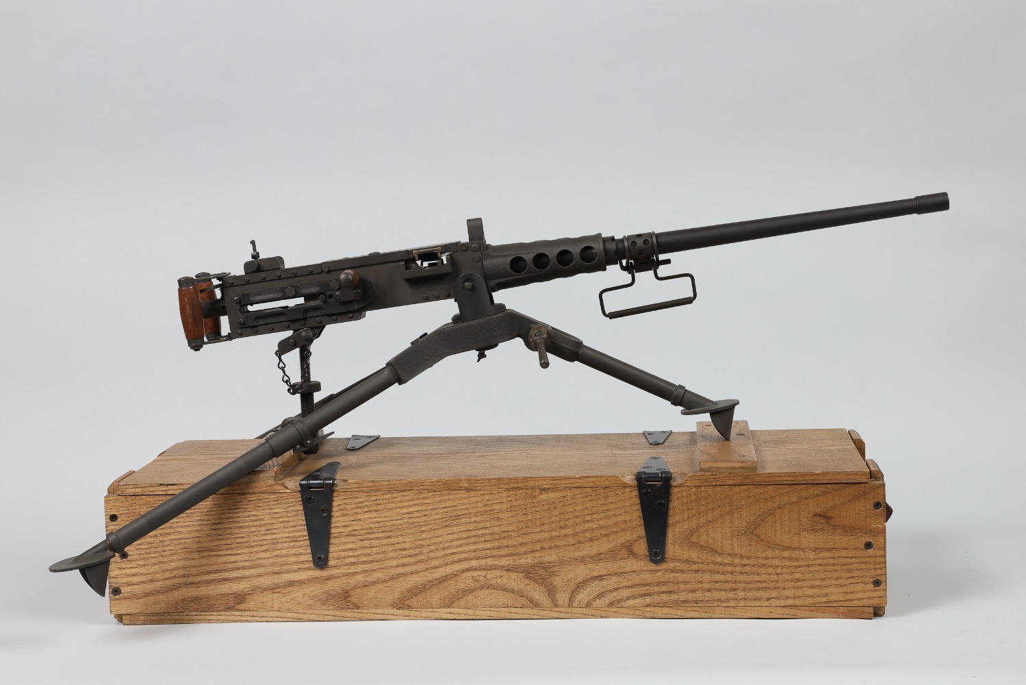 Tippmann Arms M2HB Semi Rifle .22 mag