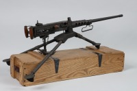 Tippmann Arms M2HB Semi Rifle .22 mag - 3