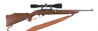 Ruger 10/22 Carbine Semi Rifle .22 lr - 2