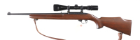 Ruger 10/22 Carbine Semi Rifle .22 lr - 5