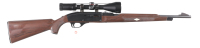 Remington Nylon 66 Semi Rifle .22 lr - 2