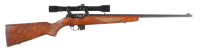 BRNO CZ Semi Rifle .22 LR - 2