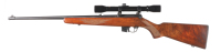 BRNO CZ Semi Rifle .22 LR - 5