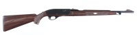 Remington Nylon 66 Semi Rifle .22 lr - 2