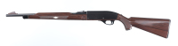 Remington Nylon 66 Semi Rifle .22 lr - 5