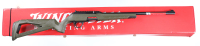 Winchester Wildcat Semi Rifle .22 lr - 2