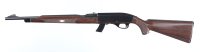 Remington Nylon 10 C Semi Rifle .22 lr - 5