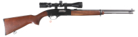 Winchester 190 Semi Rifle .22 lr - 2