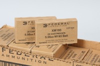 25 bxs Federal 5.56 Nato ammo - 2