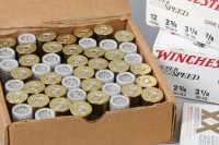 10 Bxs 12ga Ammo - 4