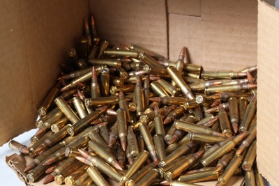 260+ Rds of .223 Ammo