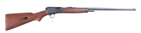 Taurus 63 Semi Rifle .22 lr - 2