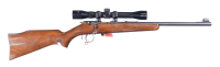 Anschutz Bolt Rifle .22 lr - 2