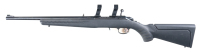 Ruger American Bolt Rifle .22 lr - 5