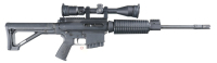 DPMS LR-308 Semi Rifle .308 win - 2