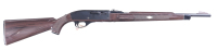 Remington Nylon 66 Semi Rifle .22 lr - 2