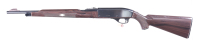 Remington Nylon 66 Semi Rifle .22 lr - 5