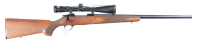 Sako A II Bolt Rifle .243 win - 2