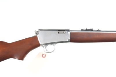 Taurus 63 Semi Rifle .22 lr