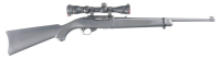 Ruger Semi Rifle .22 lr - 2