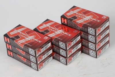 10 Bxs Hornady .204 Ruger Ammo