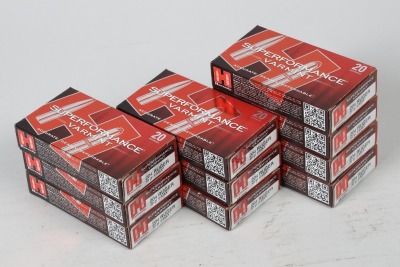 10 Bxs Hornady .204 Ruger Ammo