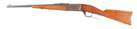 Savage 1899 Lever Rifle .303 sav - 5