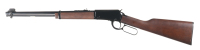 Henry Repeating Arms H001 Lever Action .22 l - 7