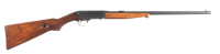 Remington 24 Semi Rifle .22 lr - 2