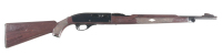 Remington Nylon 66 Semi Rifle .22 lr - 2