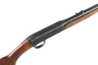 Remington 24 Semi Rifle .22 short - 3